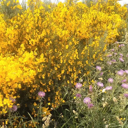 Hotell Urban Monteblanco By Eurotels Neaño