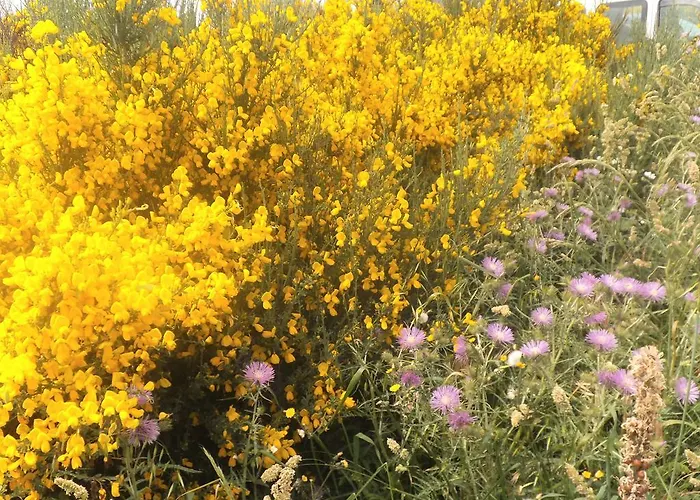 Ξενοδοχείο My Monte Blanco Neaño